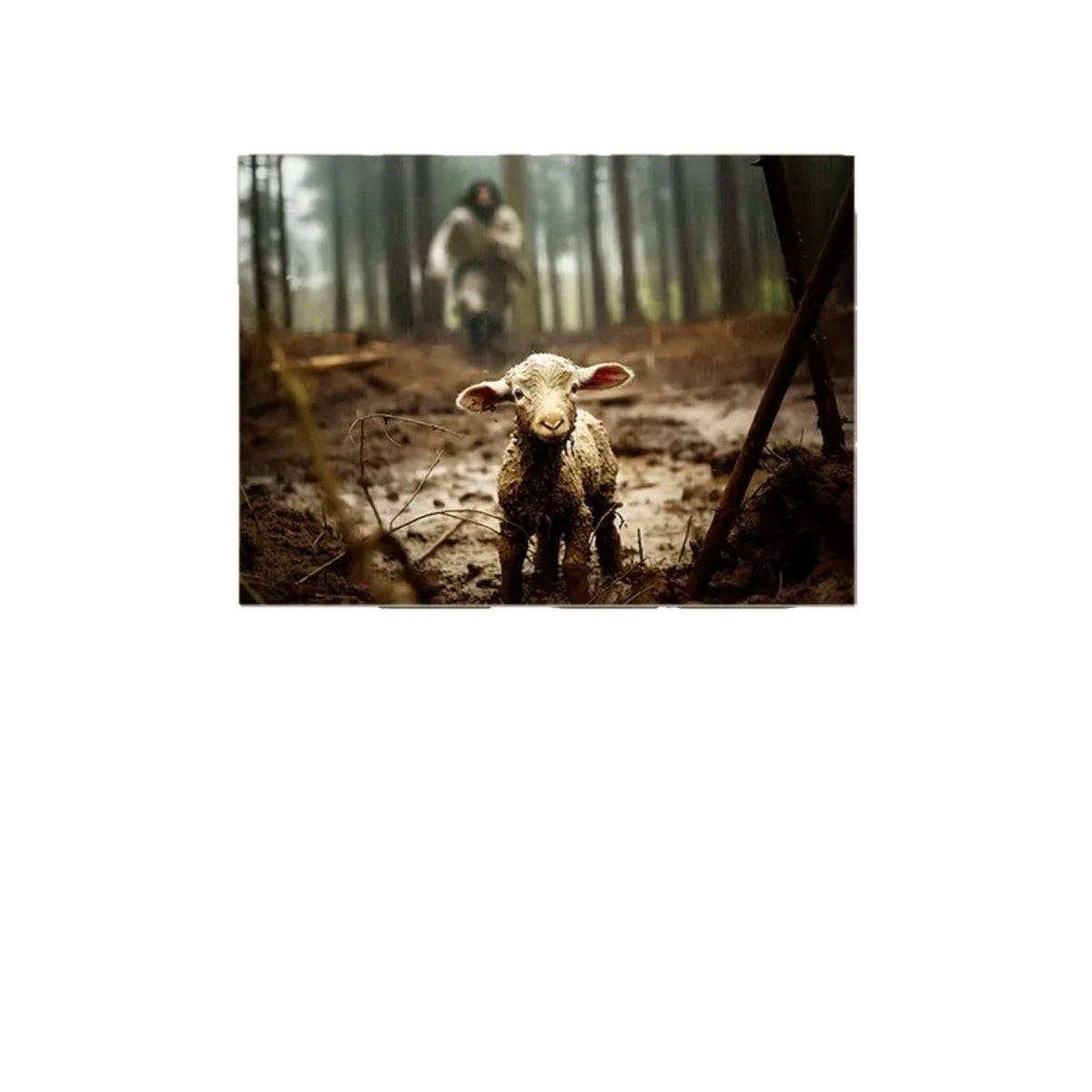Lost Lamb Canvas Wall Art for Home Decor