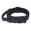 Adjustable Nylon Dog Collar